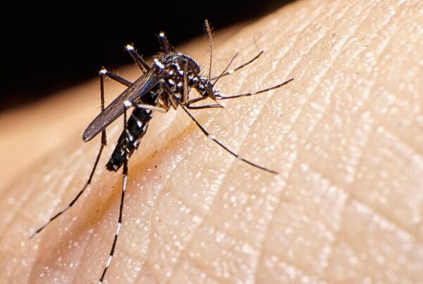 Suitcase Viruses Threaten Europe as Cases Rise