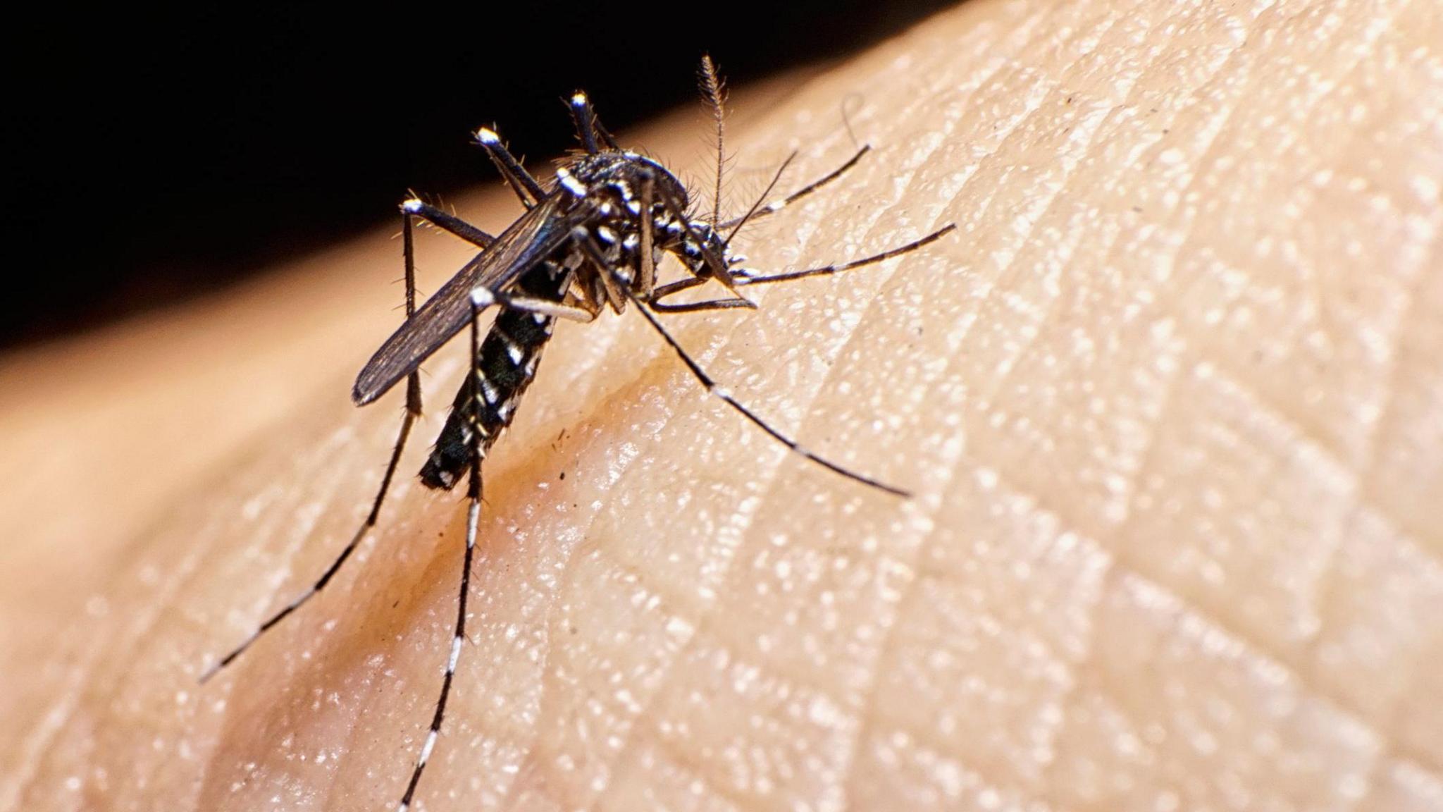 Suitcase Viruses Threaten Europe as Cases Rise