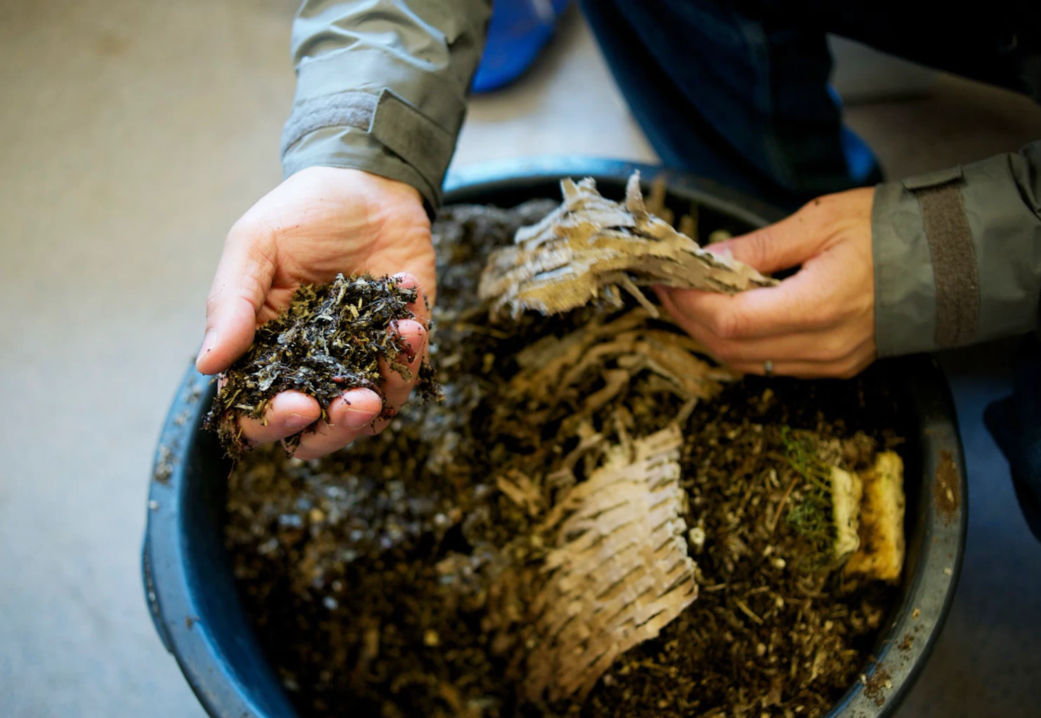 New York Turns Food Waste Into Black Gold