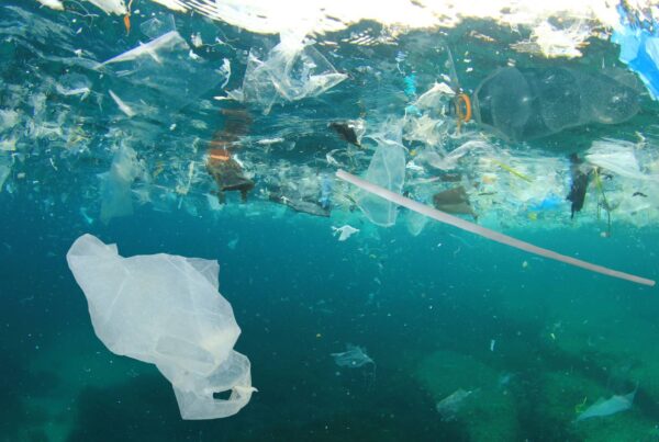 Plastic