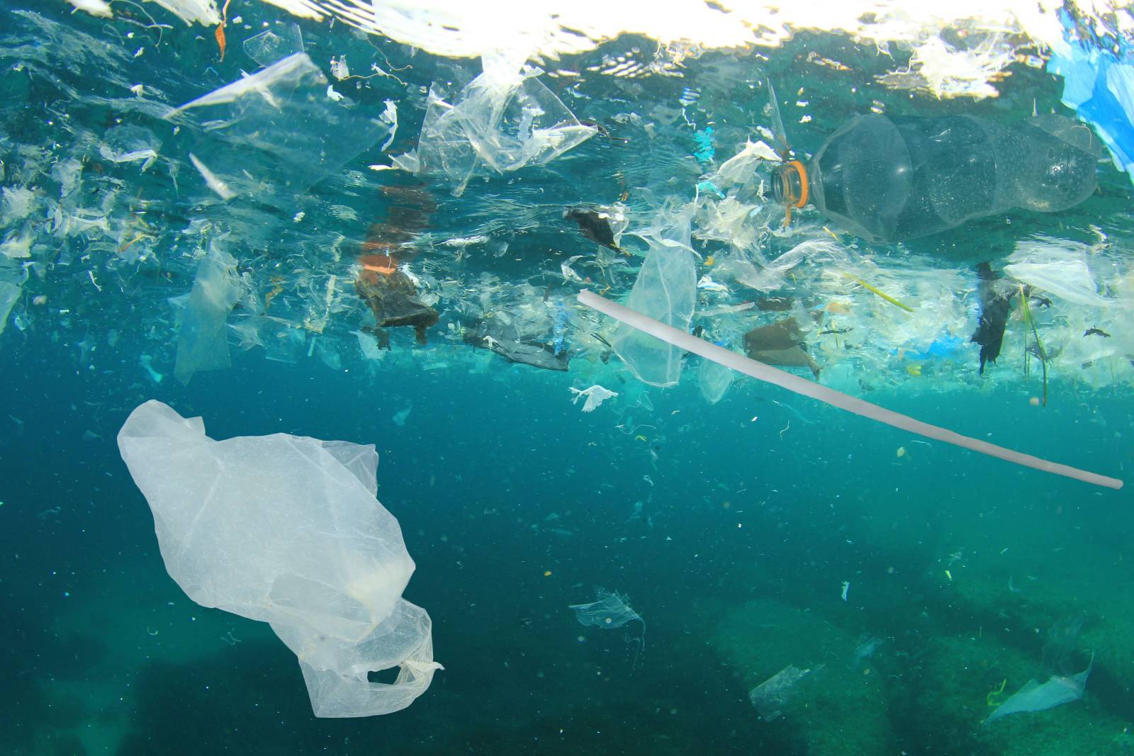 Plastic