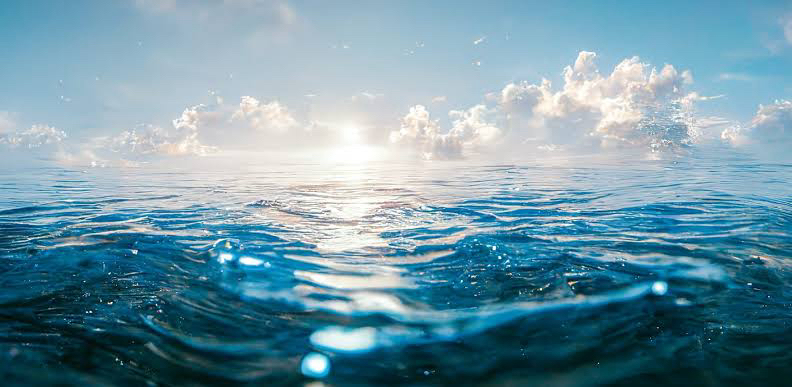 High Seas Treaty Reaches Enforcement Stage